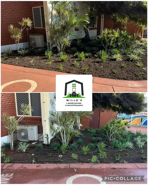 Before and after of a rejuvenated garden bed with a gravel path in Geraldton