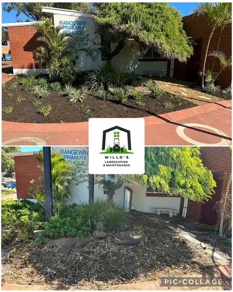 Before and after of a rejuvenated garden bed with a gravel path in Geraldton (2 of 4)